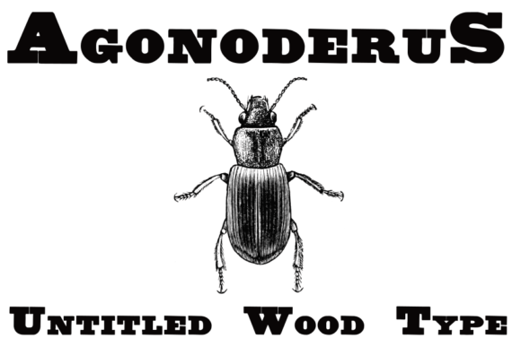 Download Untitled Wood Type - Type Collection